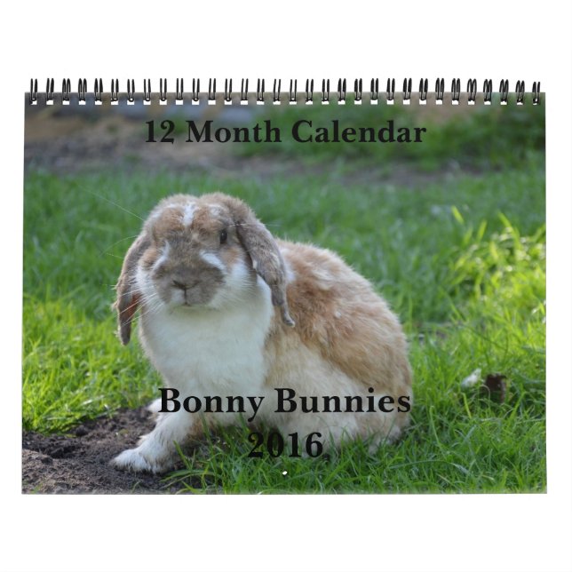 Bonny Bunnies Calendario de 12 meses 2016 (Tapa)