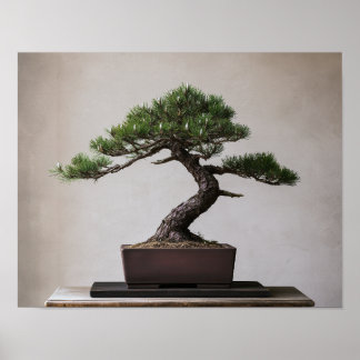 Bonsái de Pino Negro Japonés | Arte de Pared Zen