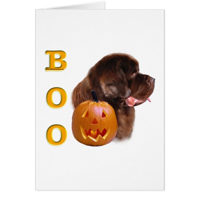 Boo de Terranova (marrón) (Frente)