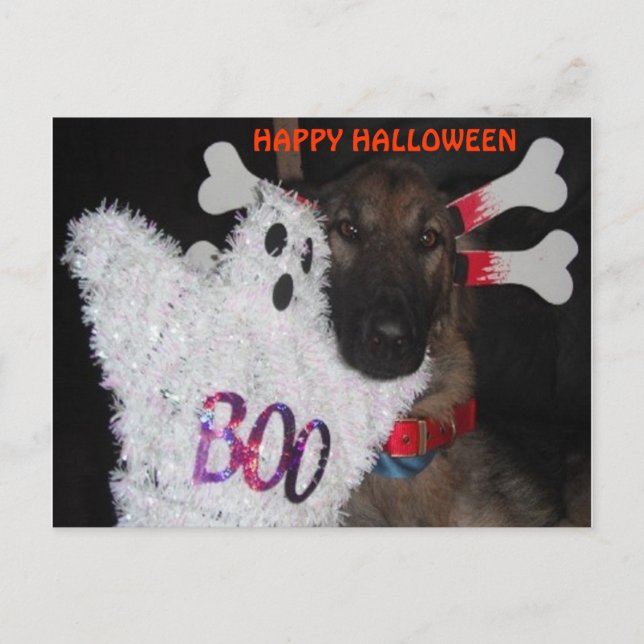Boo del pastor alemán de postales Halloween (Anverso)