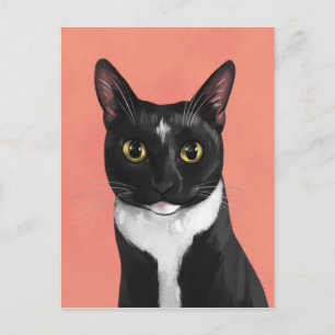 Boo la postal del gato de Tuxedo