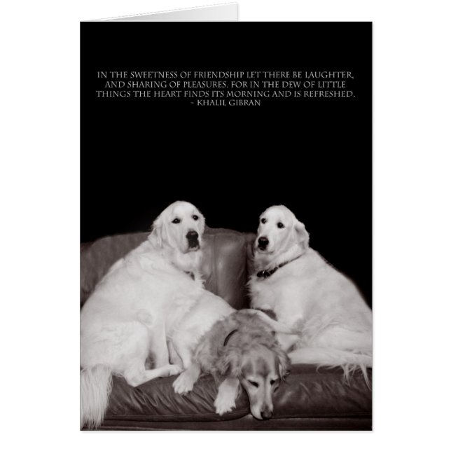 Bookends Gibran Poster (Frente)