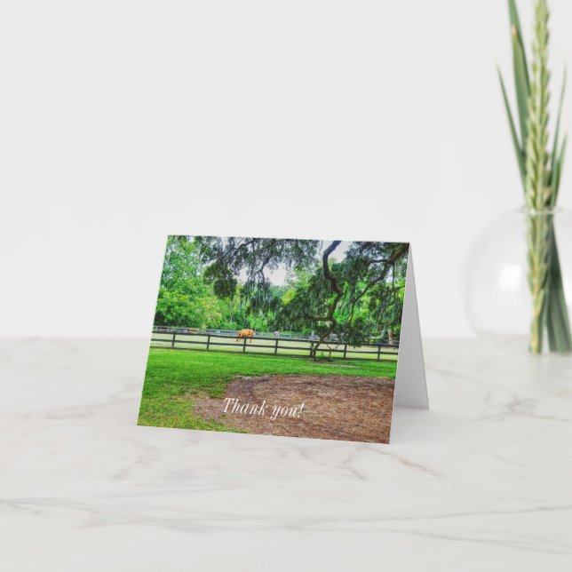 Boone Hall Stables Tarjeta de agradecimiento (Anverso)