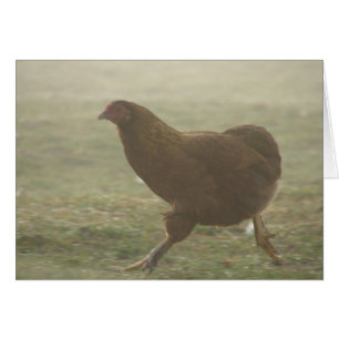 Boots en la niebla