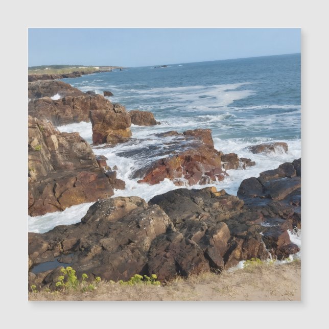 Bord de mer français en Vendée (Anverso)
