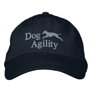 Bordada Agility Gorra bordado de yeso italiano (azul)