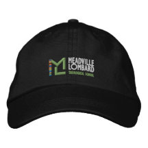 Logo de MLTS gorra de béisbol