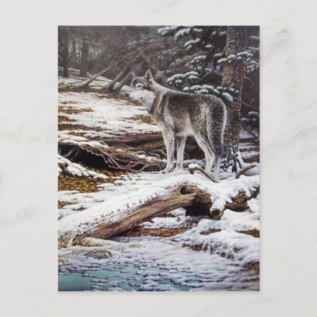 Borde de las postales de la noche (Anverso)