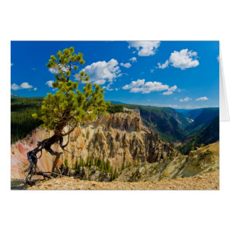 Borde del cañón de Yellowstone
