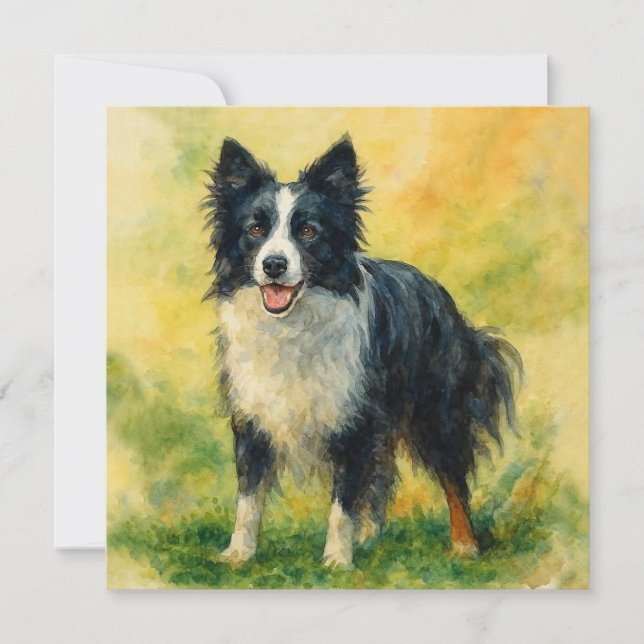 Border Collie (Anverso)