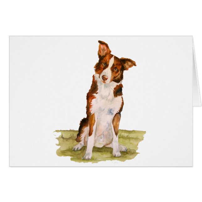 Border collie (Anverso (Horizontal))