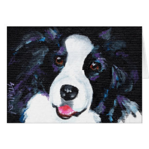 Border collie