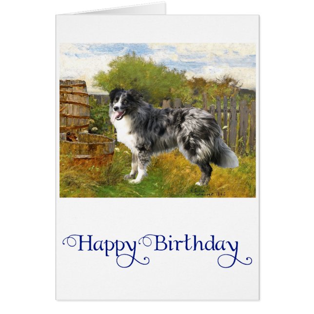 Border Collie en la Granja (Frente)