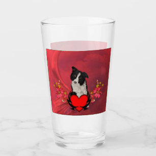 Border collie lindo