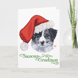 Border Collie Navidad