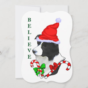 Border Collie Navidad