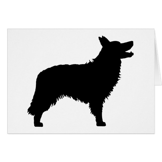 Border collie (negro) (Anverso (Horizontal))