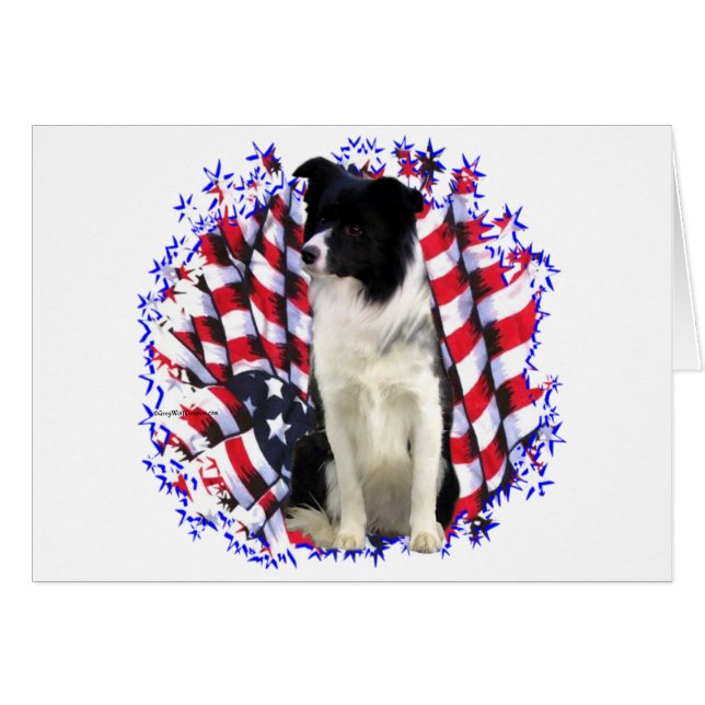 Border Collie Patriot (Anverso (Horizontal))