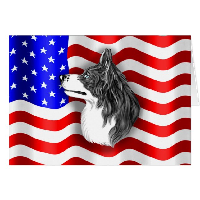 Border Collie Patriot (Anverso (Horizontal))