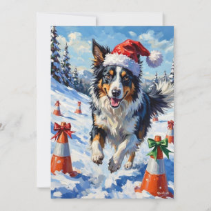 Border Collie Perro Navidad Nieve Agilidad Diversi