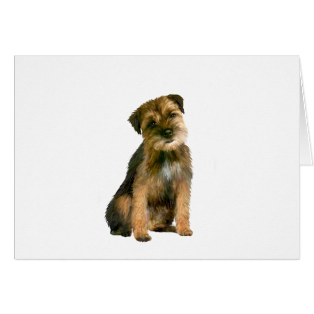 Border terrier (B) (Anverso (Horizontal))