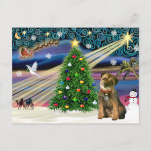 Border Terrier Magia de Navidad