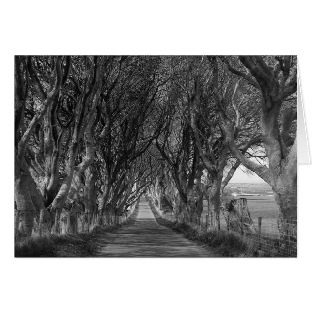Bordes oscuros en blanco y negro (Anverso (Horizontal))