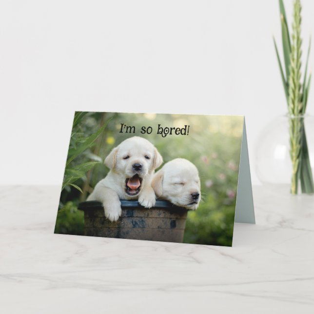 BOREDOM BOPPY PENSANDO EN TU TARJETA (Anverso)