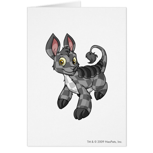 Bori a cuadros (Frente)