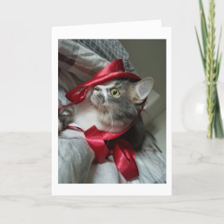 Boris de las tarjetas de fiesta de nubber Kitty