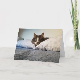 Boris, la tarjeta de bienvenida de Cute Nubber Kit