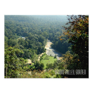 Borneo Rainforest Jungle Danum Valley Fotografía