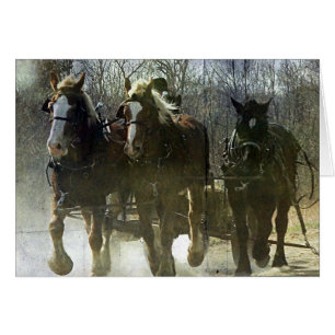 Borradores de Amish de trabajo