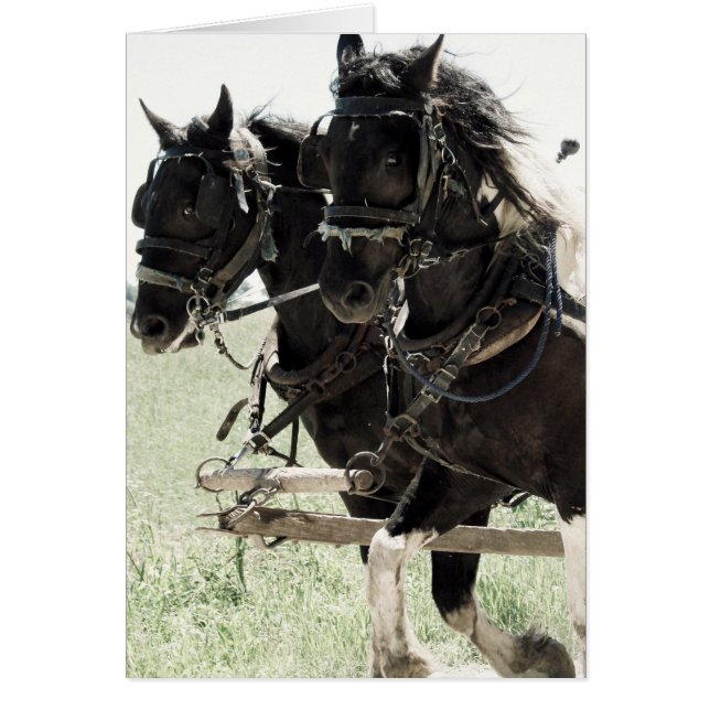Borradores de Pinto en el trabajo (Frente)