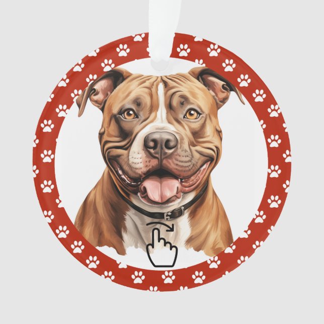 BORRAR A LA DERECHA - Ver Atrás... Adorno (Anverso)