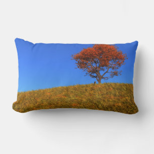 Borrar almohada del día de otoño
