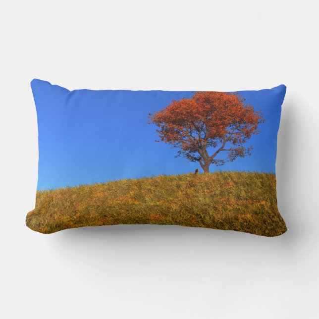 Borrar almohada del día de otoño (Anverso)