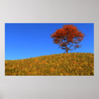 Borrar impresión del día de otoño