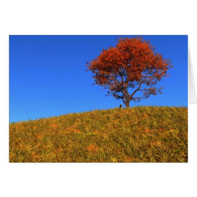 Borrar la tarjeta del día de otoño (Anverso (Horizontal))