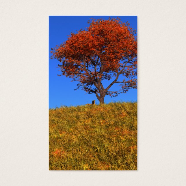 Borrar marcadores del día de otoño (Frente)