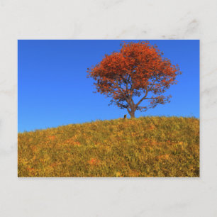 Borrar postal del día de otoño