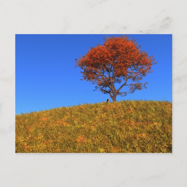Borrar postal del día de otoño (Anverso)
