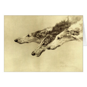 Borzoi de Newcastle