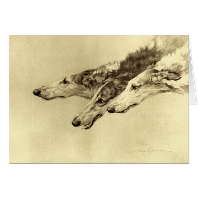 Borzoi de Newcastle (Anverso (Horizontal))