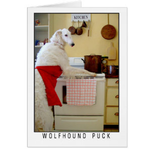 Borzoi Lebrel Ruso "Lebrel Puck" Perro