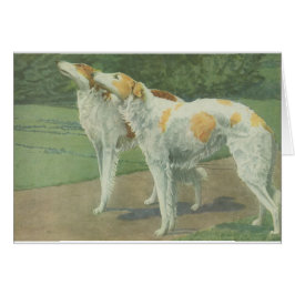 Borzoi (Wolfhound ruso)