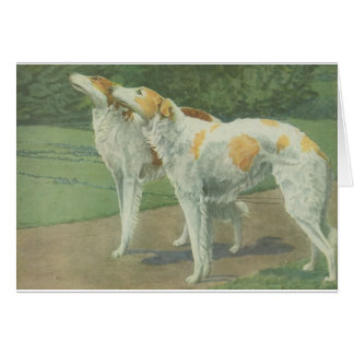 Borzoi (Wolfhound ruso)