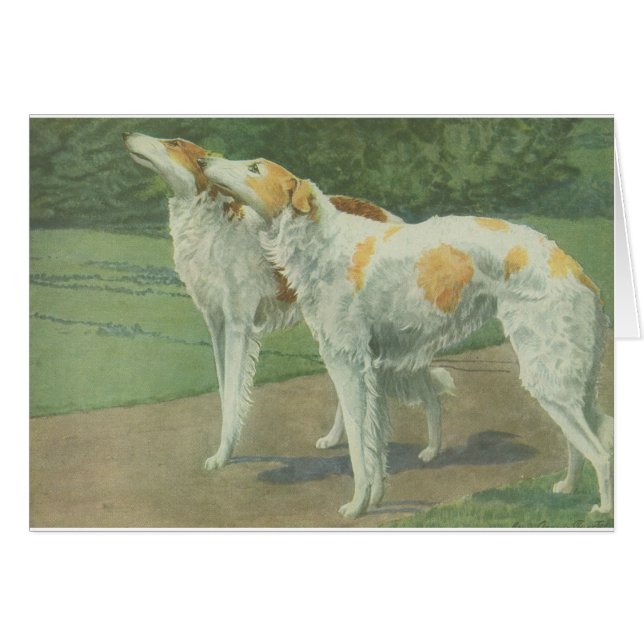 Borzoi (Wolfhound ruso) (Anverso (Horizontal))