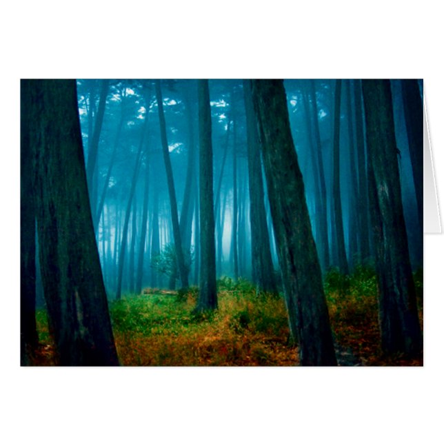 Bosque (Anverso (Horizontal))