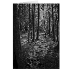 Bosque abstracto